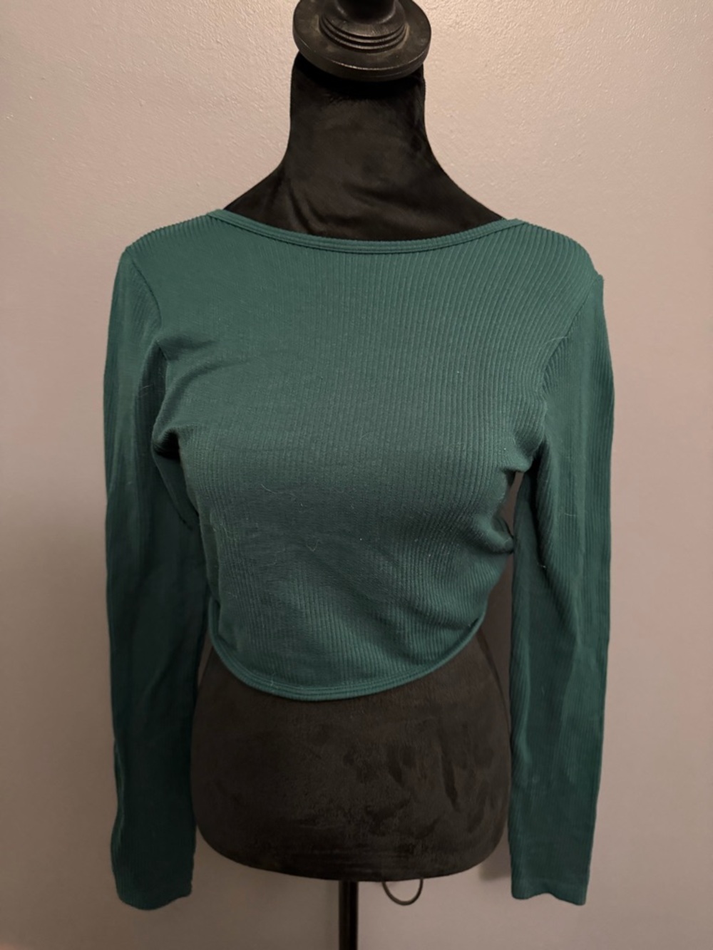 Ribbed Long-Sleeve Crop Top in Teal